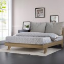 Doppelbett 160x200cm modernes Design mit Lattenrost und Kopfkissen Rust King Kosten