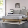 Doppelbett 160x200cm modernes Design mit Lattenrost und Kopfkissen Rust King Kosten
