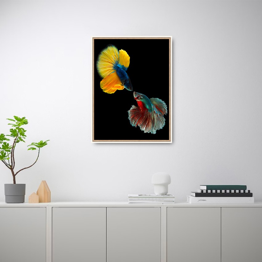 Fotodruck buntes Fischbild mit Rahmen 30x40 cm Unika 0021 Aktion