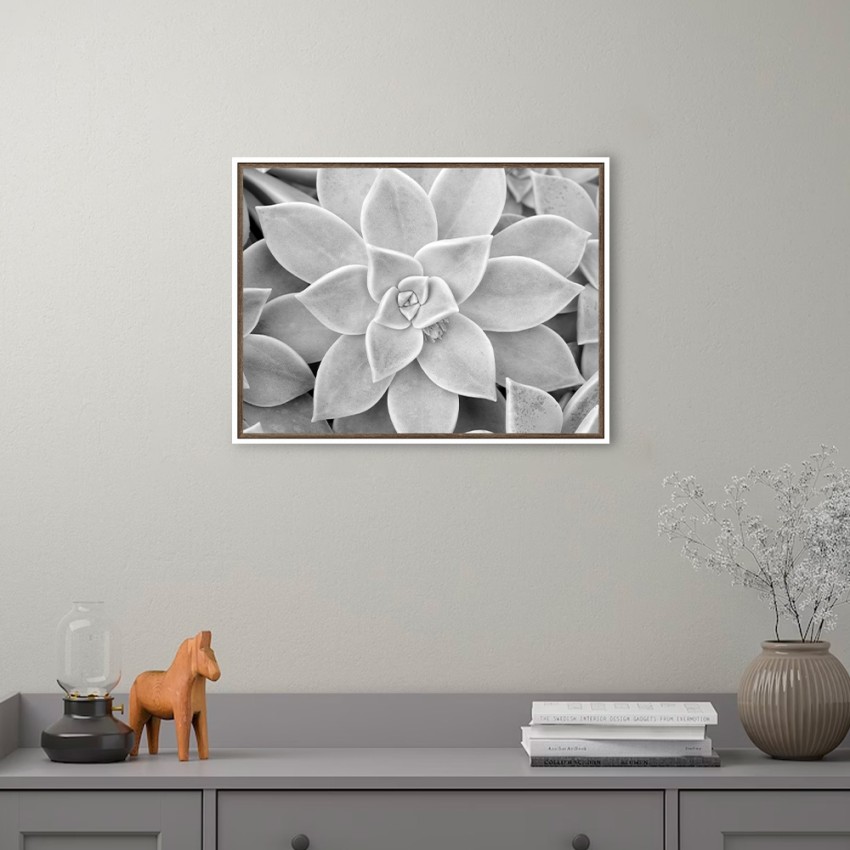 Fotodruck Schwarz-Weiß Sukkulente mit Rahmen 30x40cm Unika 0056 Aktion Fotodruck Schwarz-Weiß Sukkulente mit Rahmen 30x40cm Unika 0056 Aktion