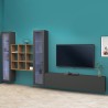 Wohnwand TV Wohnzimmer 2 Vitrinen Bücherregal graues Holz Onir RT Aktion