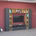 Moderne Wohnwand TV-Schrank Bücherregal Schränke Schwarz Holz Arkel AP Aktion