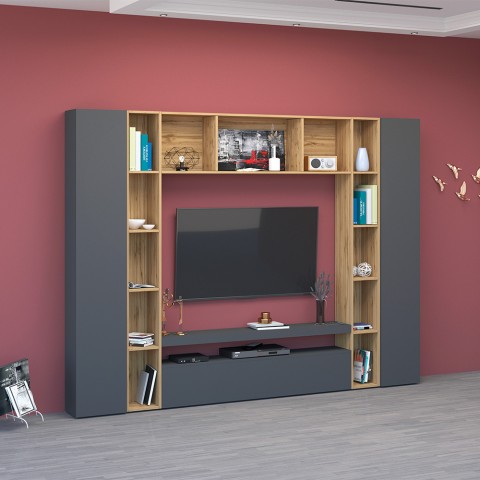Moderne Wohnwand TV-Schrank Bücherregal Schränke Schwarz Holz Arkel AP Aktion