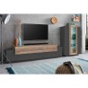 Moderne Wohnwand in Schwarz und Holz mit TV-Schrank und Vitrine Woud AP Katalog
