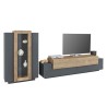 Moderne Wohnwand in Schwarz und Holz mit TV-Schrank und Vitrine Woud AP Angebot
