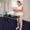 Klappbarer Trimmtisch mit Schlinge für Hunde, Katzen und Haustiere Mastiff Sales