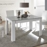 Erweiterbarer Tisch 90x137-185cm, glänzendes weißes und betongraues Sly Basic. Rabatte