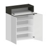 Moderne Schuhregal Weiß 2 Türen 4 Ablagen 76x34x100cm Ayenne Maße