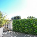 Künstliche Gartenpflanze Hecke 2x1m ausziehbar Laurus Verkauf