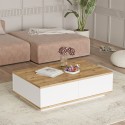 Niedriger weißer Couchtisch mit 2 Holztüren 90x60cm Tynne Aktion