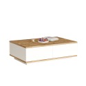 Niedriger weißer Couchtisch mit 2 Holztüren 90x60cm Tynne Rabatte