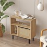Wohnzimmerschrank 60x26x60cm Holz 2 Regale Tür Rattan-Effekt Opoli Sales