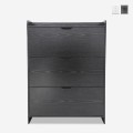 Moderne platzsparender schmaler Schuhschrank mit 3 Kipptüren Shong Aktion