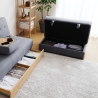 2-sitziges Doppel-Stoffsofa mit Subadra-Pouf-Aufbewahrungseinheit 