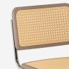 Stuhl Freischwinger modern Wienerstil für Küche und Esszimmer Erys Auswahl