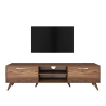 TV-Wagen mit 2 Klapptüren und 2 Holzregalen in Nussbaumfarbe Walnut Katalog