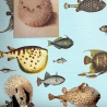 Blaue Meeres-Tapete für Wohnzimmer und Flur mit Tropischen Fischen Angebot