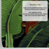 Design-Wandtapete selbstklebend Jungle Nature Schwarze Bananenblätter Katalog