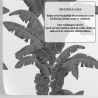 Tapete Urban Jungle Pflanzen Weiß und Grau Exotische Palmen Angebot