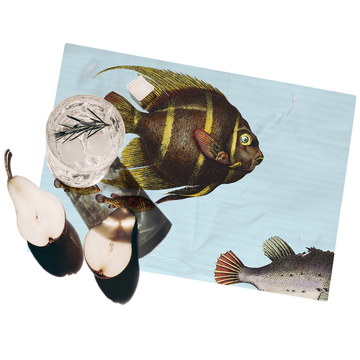 Set mit 2 Tischsets im Meeresdesign 42x30 cm Acquario Aktion Set mit 2 Tischsets im Meeresdesign 42x30 cm Acquario Aktion