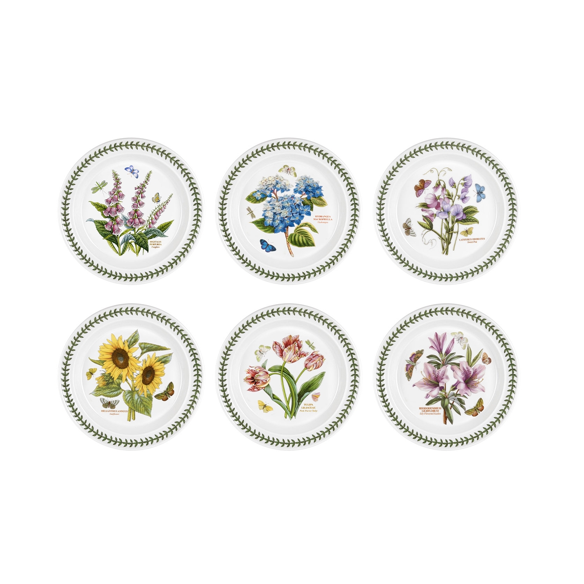 Set aus 6 Porzellantellern 25 cm Portmeirion Botanic Garden Aktion Set aus 6 Porzellantellern 25 cm Portmeirion Botanic Garden Aktion
