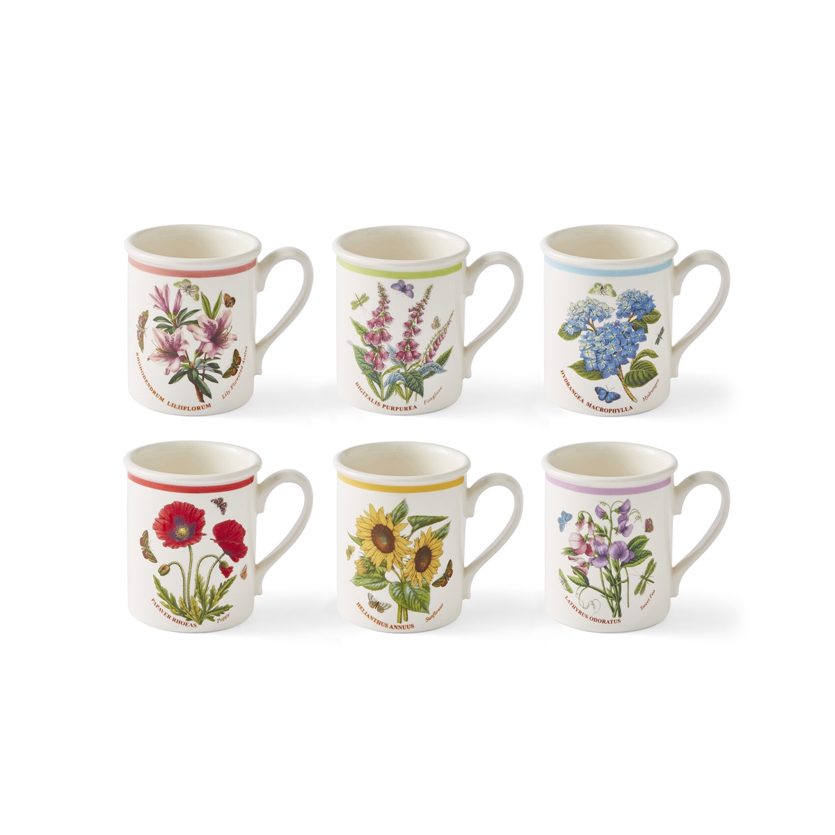 Set mit 6 Frühstückstassen 260 ml Portmeirion Botanic Garden Meadow Aktion Set mit 6 Frühstückstassen 260 ml Portmeirion Botanic Garden Meadow Aktion