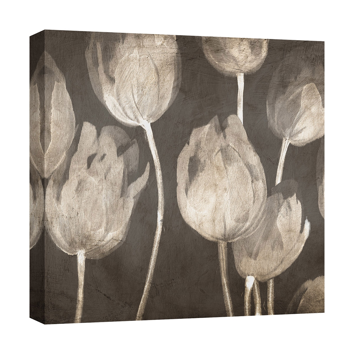 Moderne Wandbild auf Leinwand Tulpen Washed Tulips I Luca Villa Aktion Moderne Wandbild auf Leinwand Tulpen Washed Tulips I Luca Villa Aktion