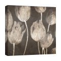 Moderne Wandbild auf Leinwand Tulpen Washed Tulips I Luca Villa Aktion