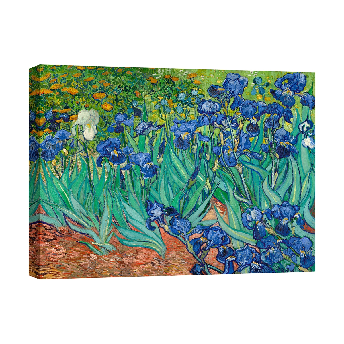 Leinwanddruck Gemälde im impressionistischen Stil Iris Vincent van Gogh Aktion Leinwanddruck Gemälde im impressionistischen Stil Iris Vincent van Gogh Aktion