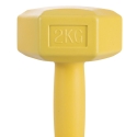 Biron Hantel 2 kg, sechseckig, rollstopp Sales