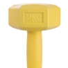 Biron Hantel 2 kg, sechseckig, rollstopp Sales