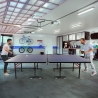 Professionelle faltbare Tischtennisplatte 274x152,5 cm Schläger Netzspanner Bälle Booster Sales