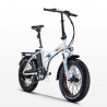Elektrofahrrad E-Bike Faltrad 250w Lithium Batterie Shimano Rsiii Lagerbestand