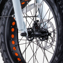 Elektrofahrrad E-Bike Faltrad 250w Lithium Batterie Shimano Rsiii Maße