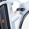 Elektrofahrrad E-Bike Faltrad 250w Lithium Batterie Shimano Rsiii Preis