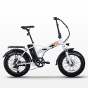 Elektrofahrrad E-Bike Faltrad 250w Lithium Batterie Shimano Rsiii Katalog