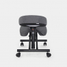 Ergonomischer Kniestuhl Bürohocker Metall und Stoff Balancesteel Lux 