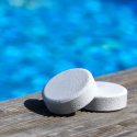 Trichlor Poolmaster 10 kg 200 g Tabletten für oberirdische und unterirdische Pools Verkauf