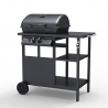 Barbecue BBQ Gasgrill aus Edelstahl 2 Brenner Ablagen Bagnét Verd Aktion