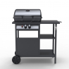 Barbecue BBQ Gasgrill aus Edelstahl 2 Brenner Ablagen Bagnét Verd Angebot
