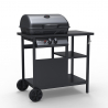 Barbecue BBQ Gasgrill aus Edelstahl 2 Brenner Ablagen Bagnét Verd Sales