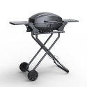 Barbecue BBQ tragbarer Edelstahl Gasgrill Brenner Grill Ablage Bernese Aktion