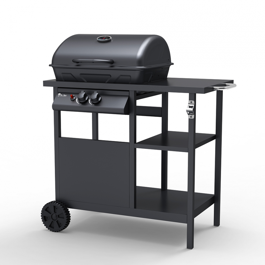 Barbecue BBQ Gasgrill Edelstahl 2 Brenner Regale Bagnét Verd Fr Aktion Barbecue BBQ Gasgrill Edelstahl 2 Brenner Regale Bagnét Verd Fr Aktion