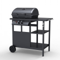 Barbecue BBQ Gasgrill Edelstahl 2 Brenner Regale Bagnét Verd Fr Aktion