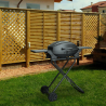 Barbecue BBQ tragbarer Edelstahl Gasgrill Brenner Grill Ablage Bernese Verkauf