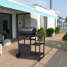 Barbecue BBQ Gasgrill aus Edelstahl 2 Brenner Ablagen Bagnét Verd Verkauf
