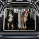 Skaut XL Doppel Hundetransportbox aus Aluminium starr 104x91x69cm  Verkauf