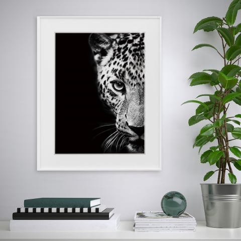Druck Fotografie schwarz und weiß Bild Tiere Leopard 40x50cm Vielfalt Kambuku Aktion