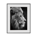 Leinwanddruck Schwarz-Weiß Löwe Tier 40x50cm Variety Aslan Verkauf