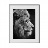 Leinwanddruck Schwarz-Weiß Löwe Tier 40x50cm Variety Aslan Verkauf